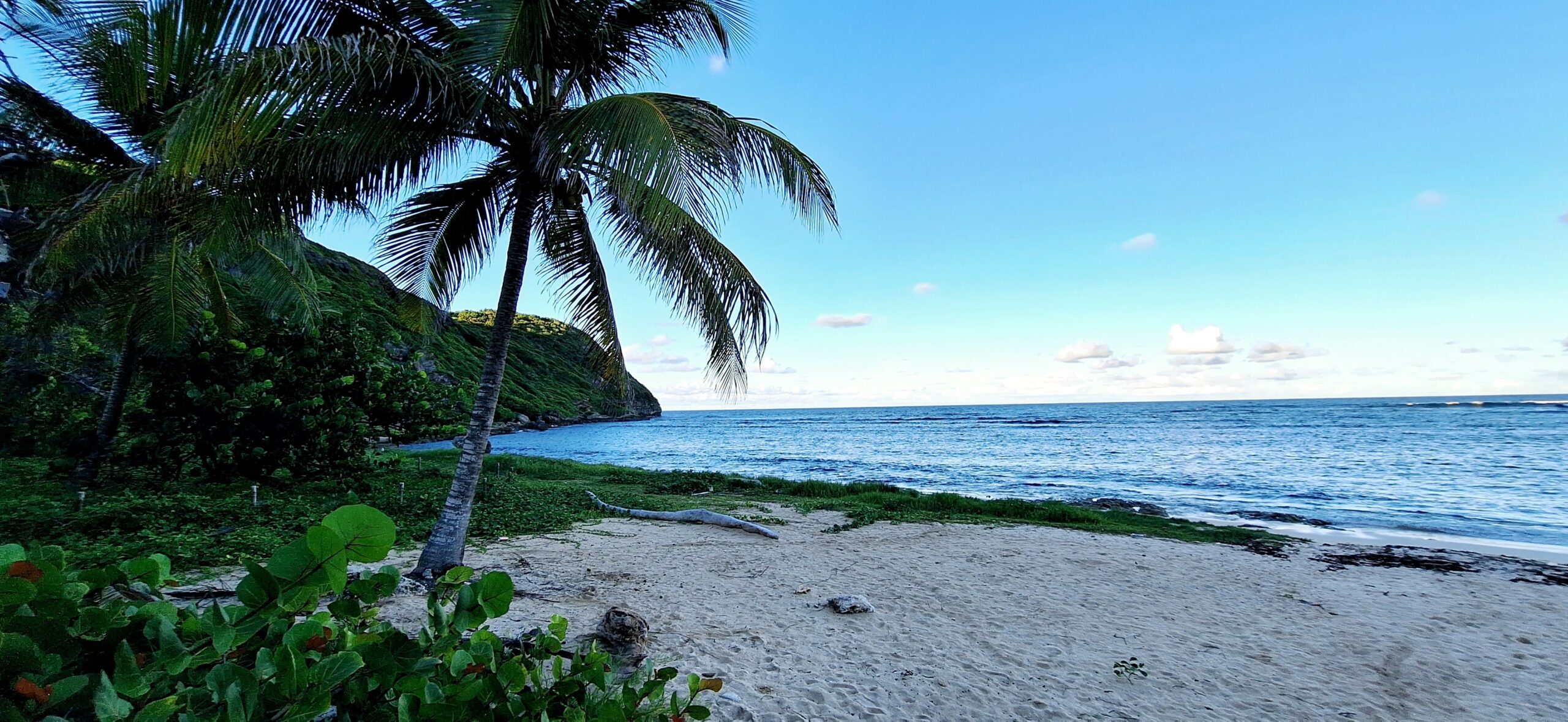 Anse Maurice Evasion - Photo plage T2-4P